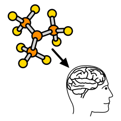 Hiilihydraatit